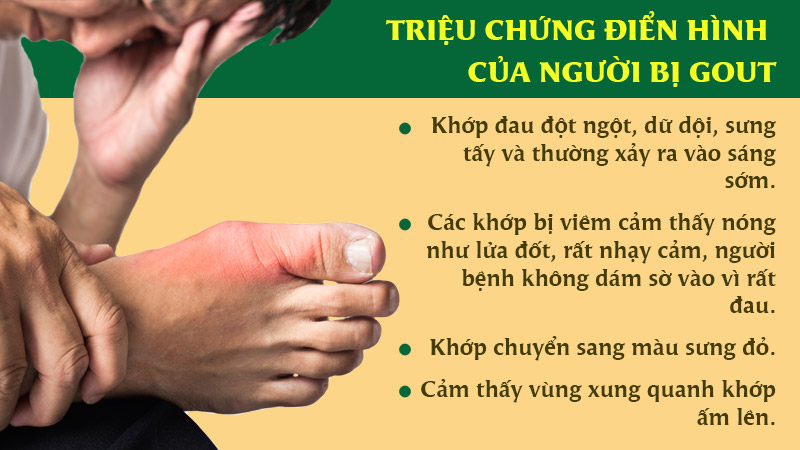 bài thuốc trị bệnh thống phong (bệnh gút) theo Y học cổ truyền