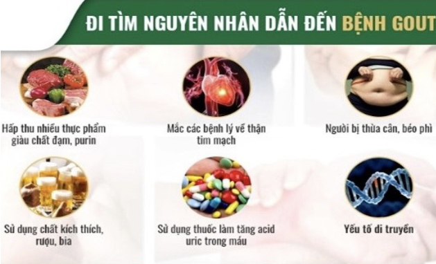  Biện pháp phòng ngừa bệnh gout